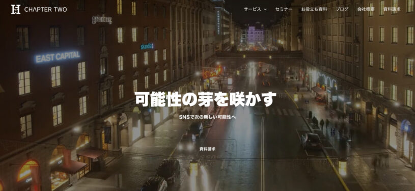 SNSマーケティング事業